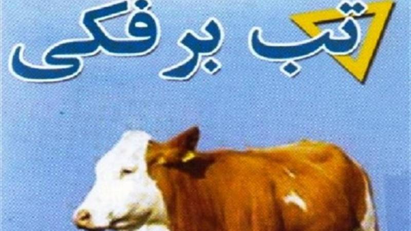 هشدار شبکه دامپزشکی کرمان در خصوص بیماری تب برفکی